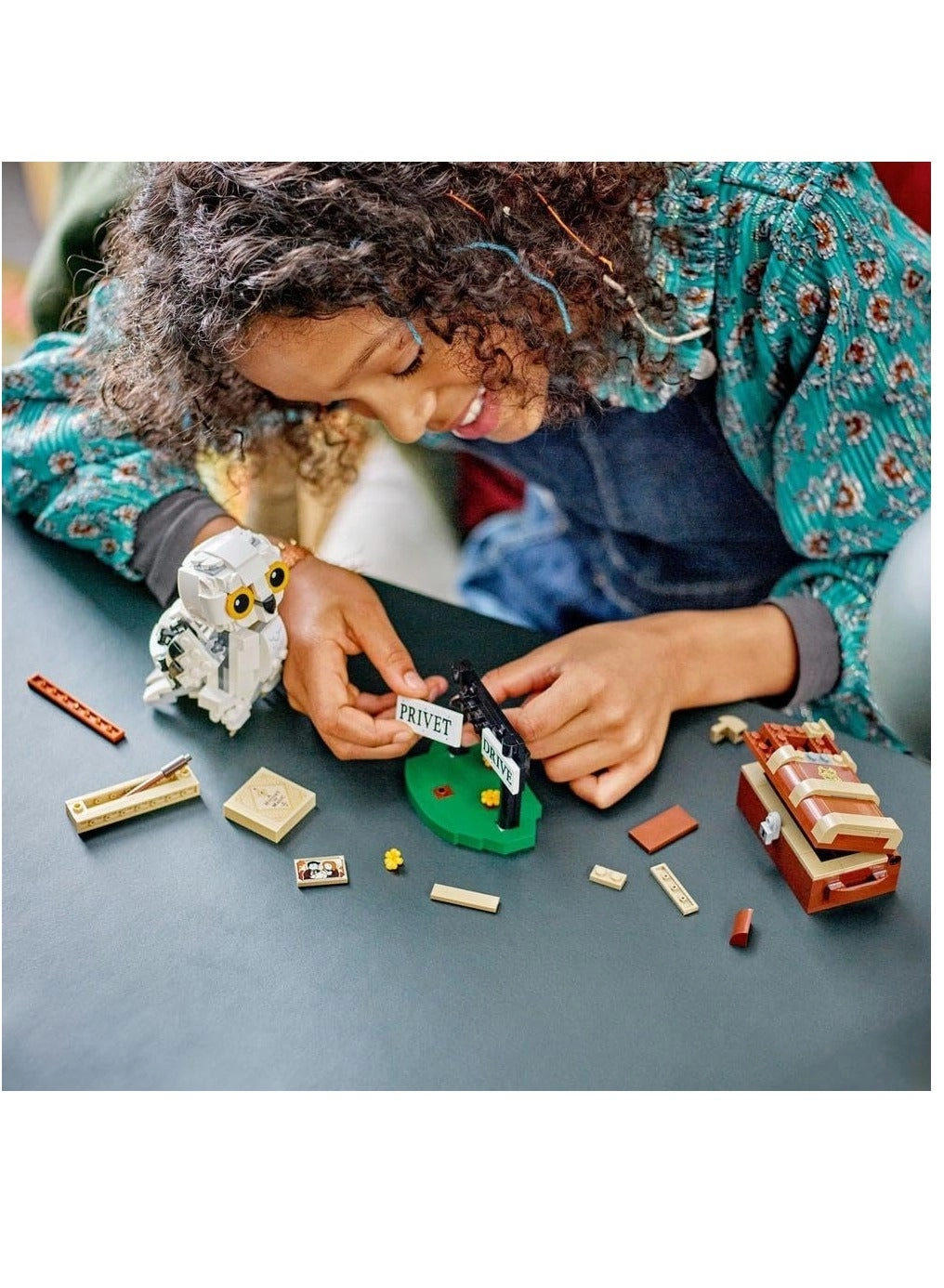 Harry Potter Hedwig at 4 Privet Drive (76425)