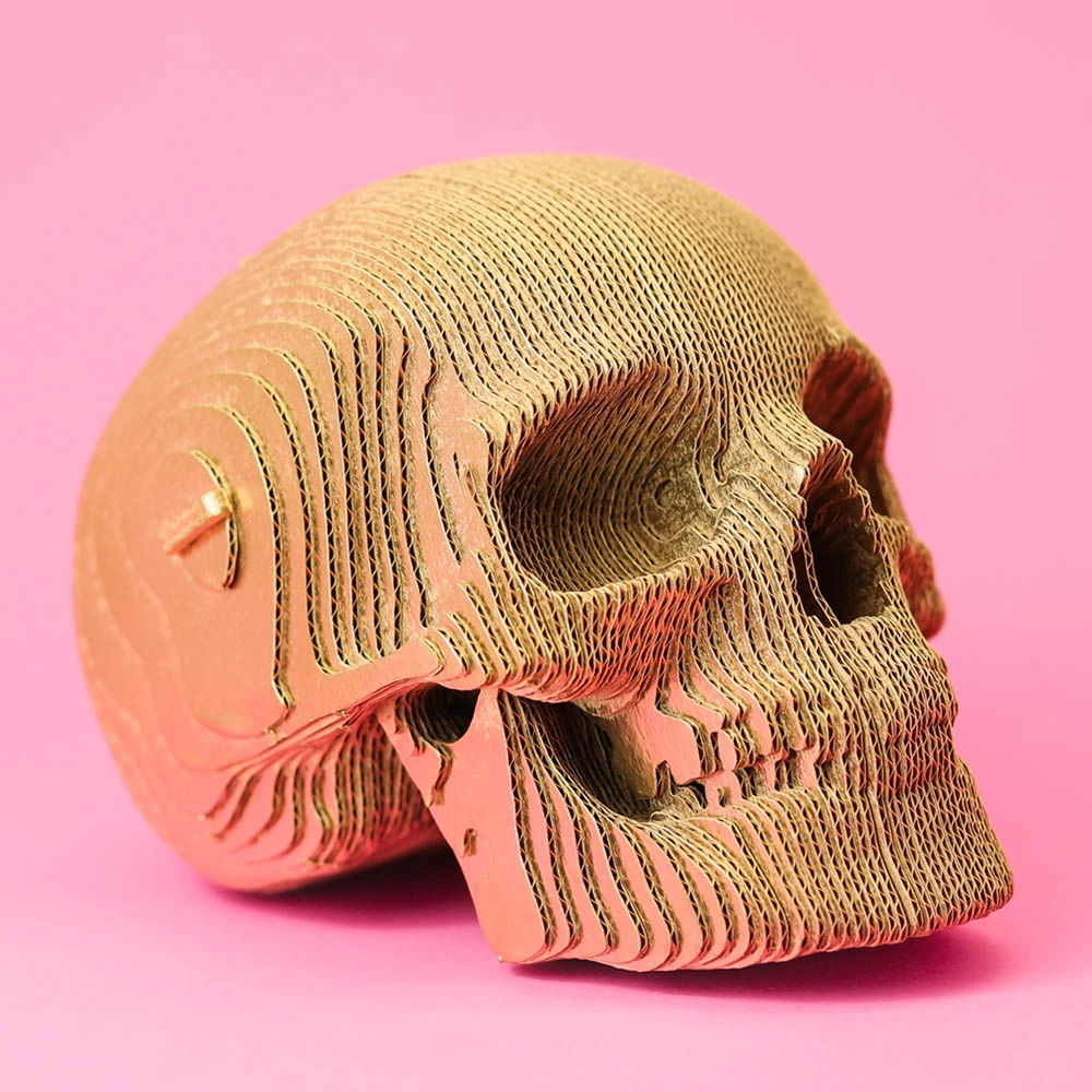 Skull 3D Puzzle (7529-CARTSKUL) - 72 pcs