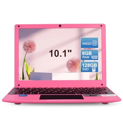 MINI1068 - 10.1'' Celeron N4020 8GB DDR4 128GB SSD