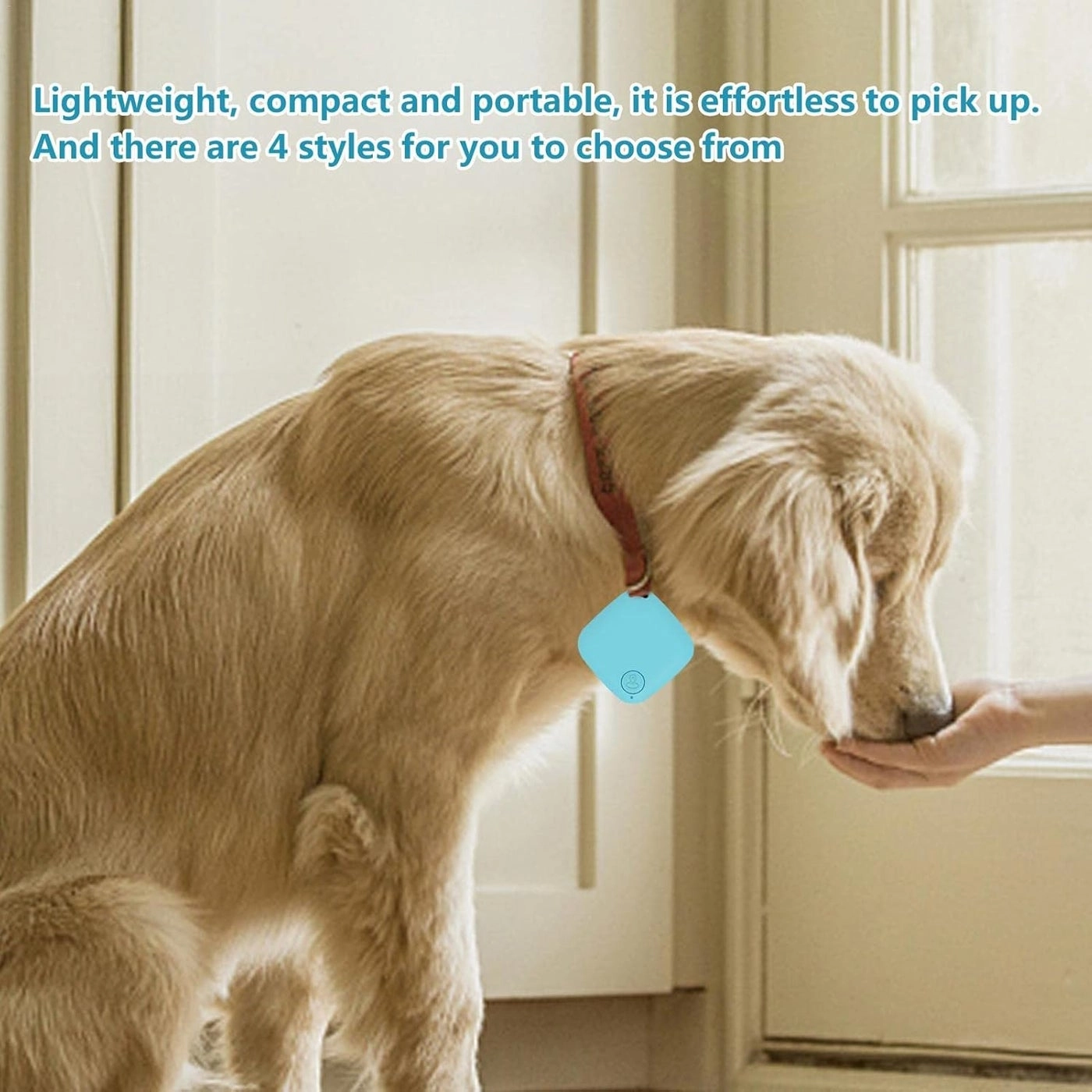 GPS Tracker - 1 piece(s)