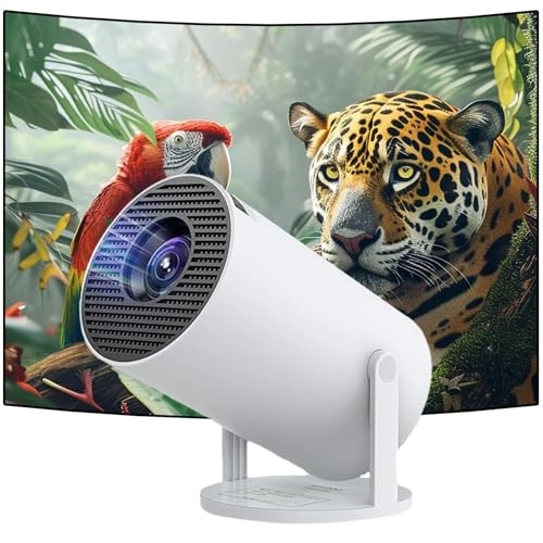 Mini Portable Projector