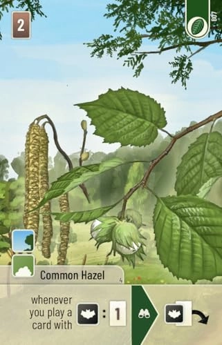 Forest Shuffle Woodland Edge - 10 years and up