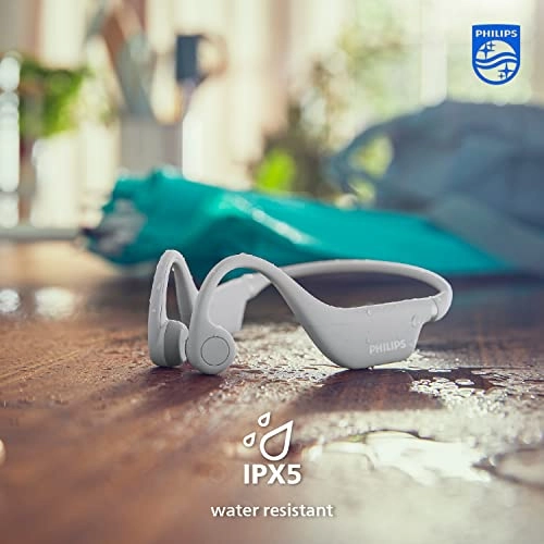 TAK4607GY/00 Wireless Headphone