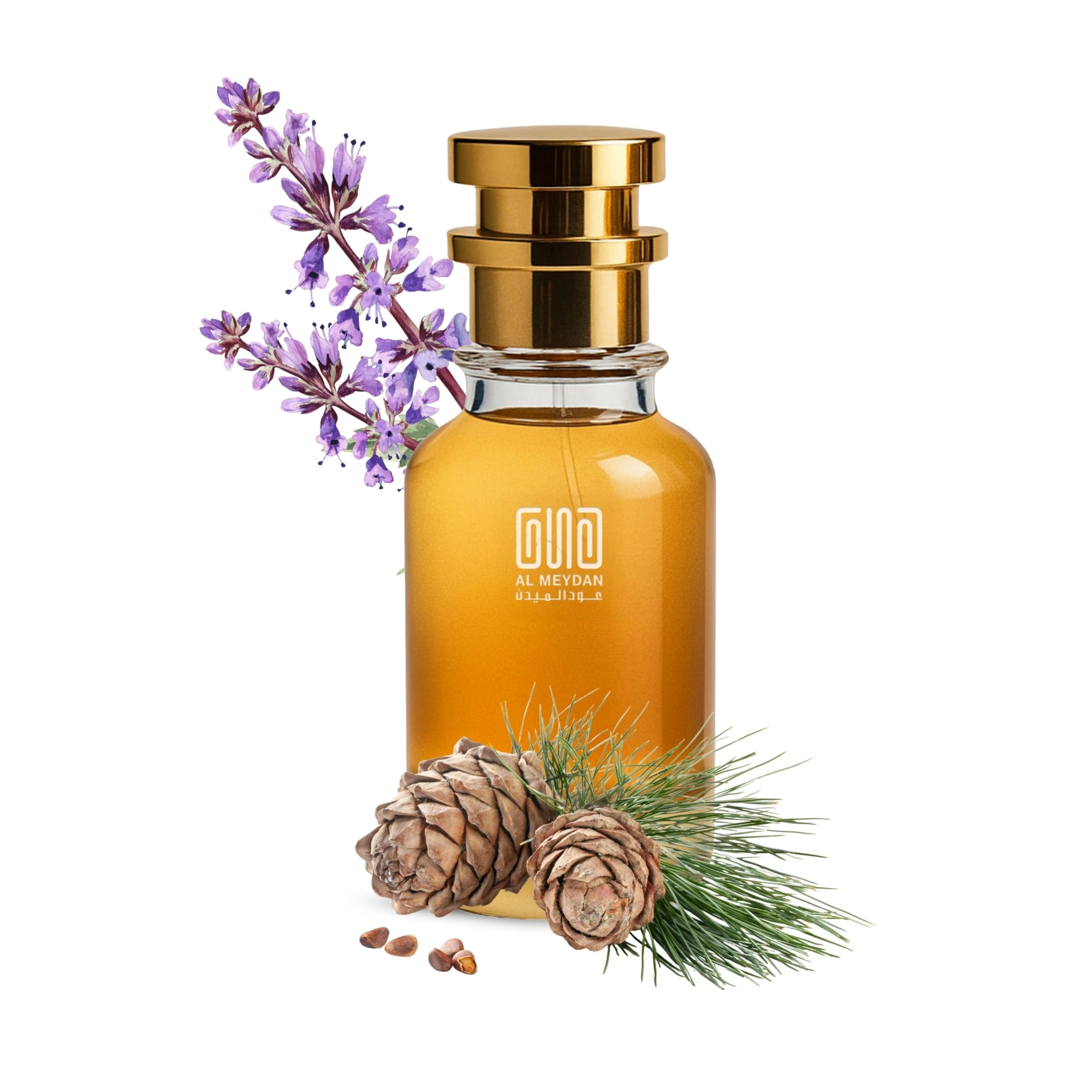 Oil Based Perfume for Men - 80 ML