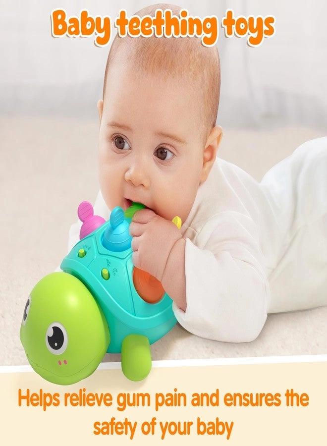 Turtle Musical Toy - 6-12 months