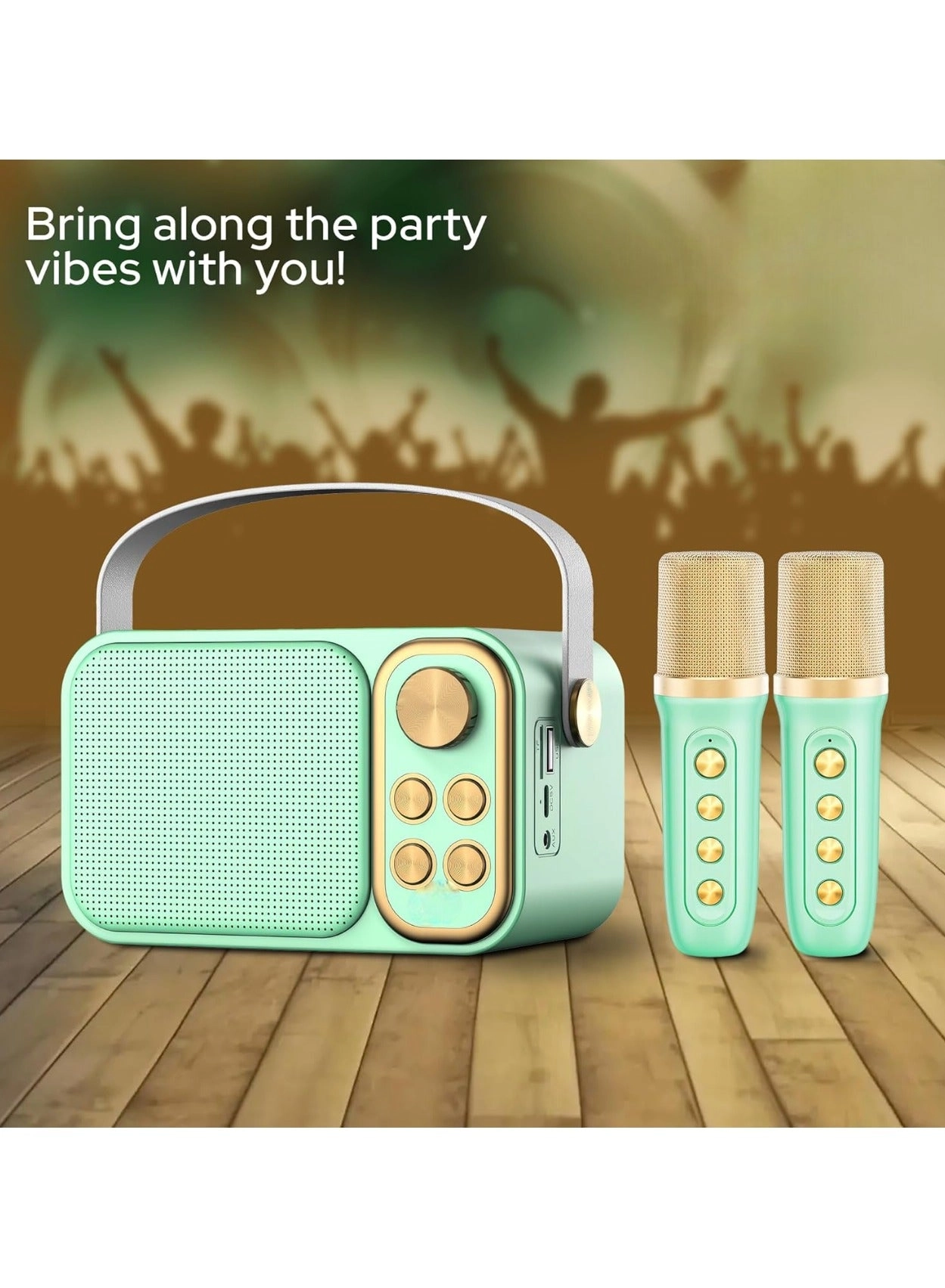 Outdoor Party Vocal Machine - 2 microphones