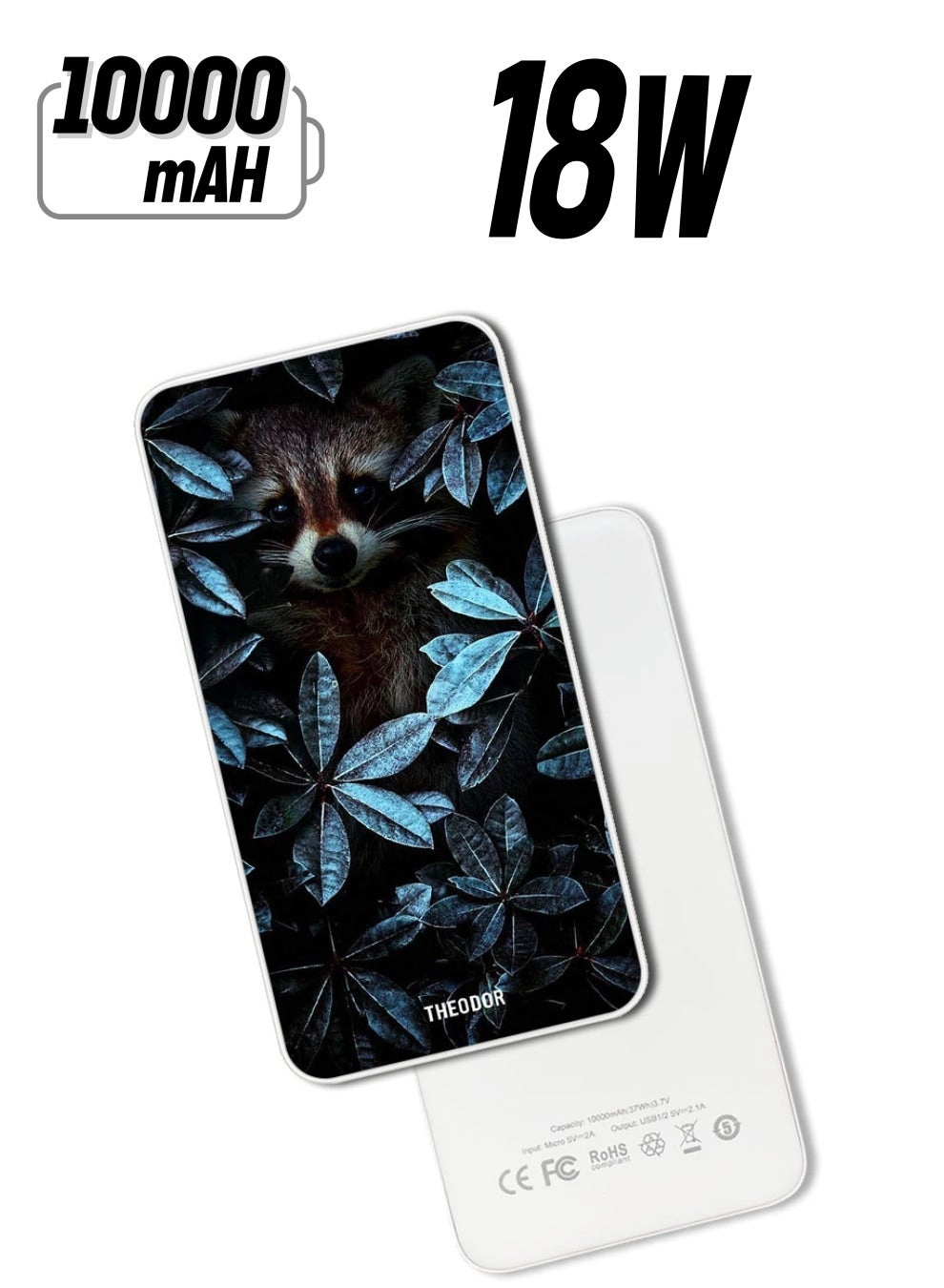 Theodor EX_PPBA006 - 10000 Watt-hour 18W PD