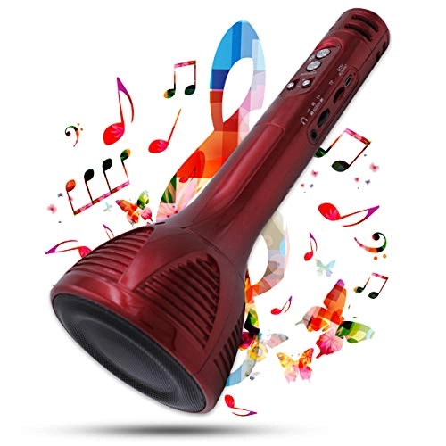 WS-1698 - Karaoke Mic Wireless Bluetooth