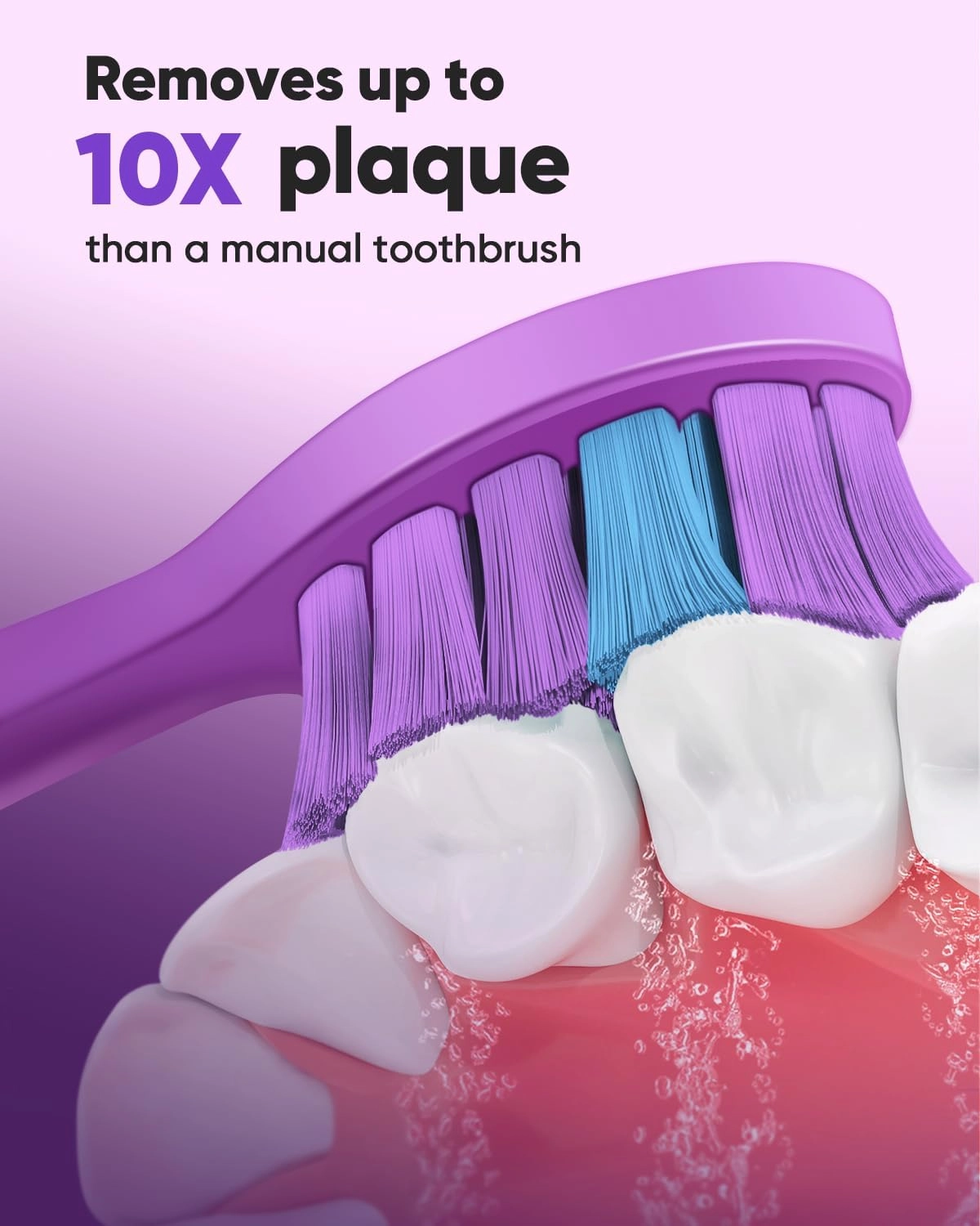 DY156 - 3 Pack PURPLE