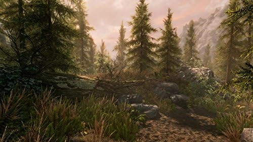 Elder Scrolls V: Skyrim Special Edition - Xbox One