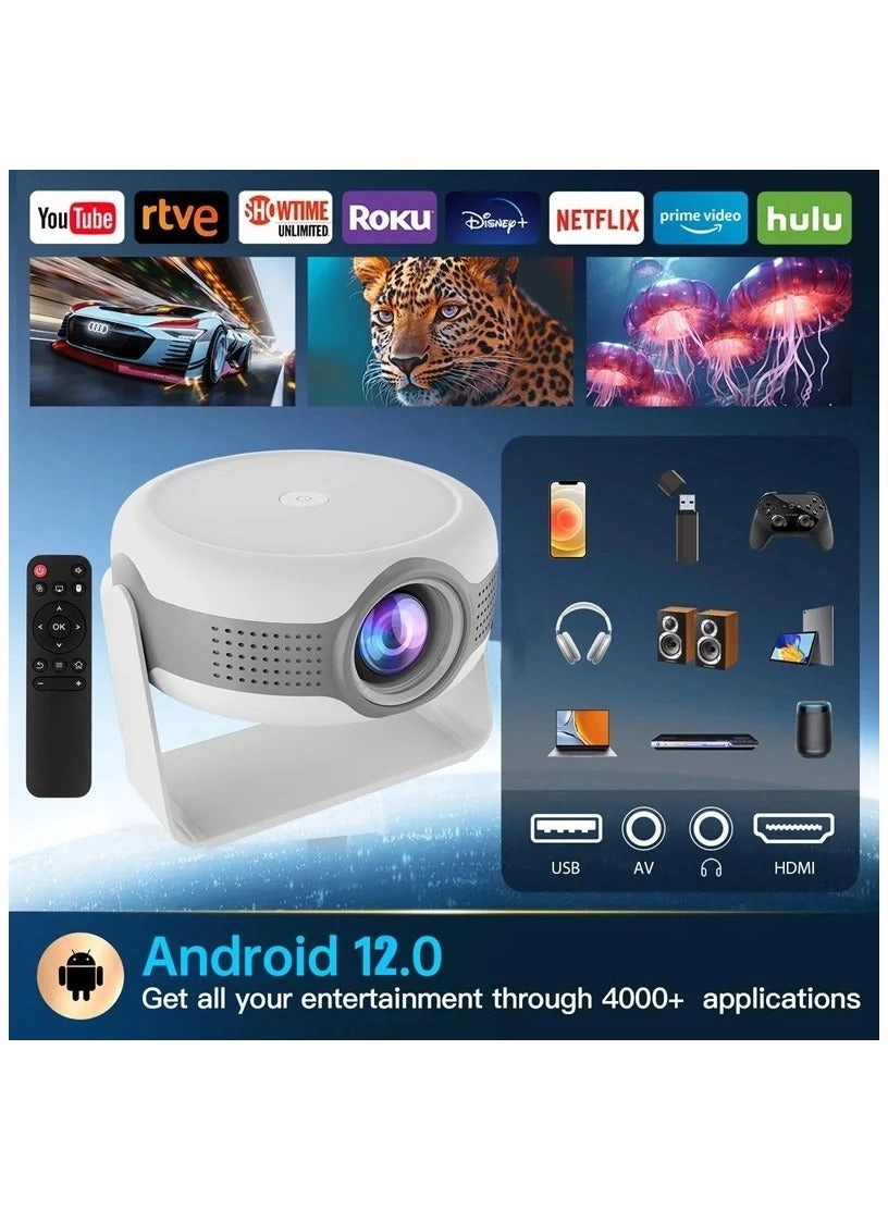Mini Projector 280 ANSI lumens 720x1080