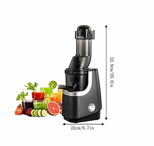 Low Speed Juicer
