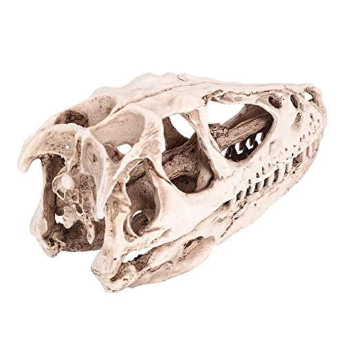 Dinosaur Skull Model - Resin 4.92 x 1.57 x 2.56 inches