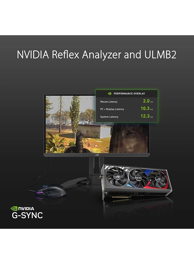 PG248QP - 24.1 inch 1920 X 1080