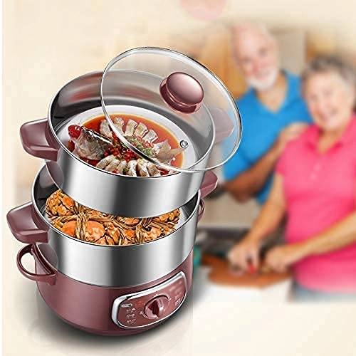DoubleLayer Electric Food Steamer - 8L