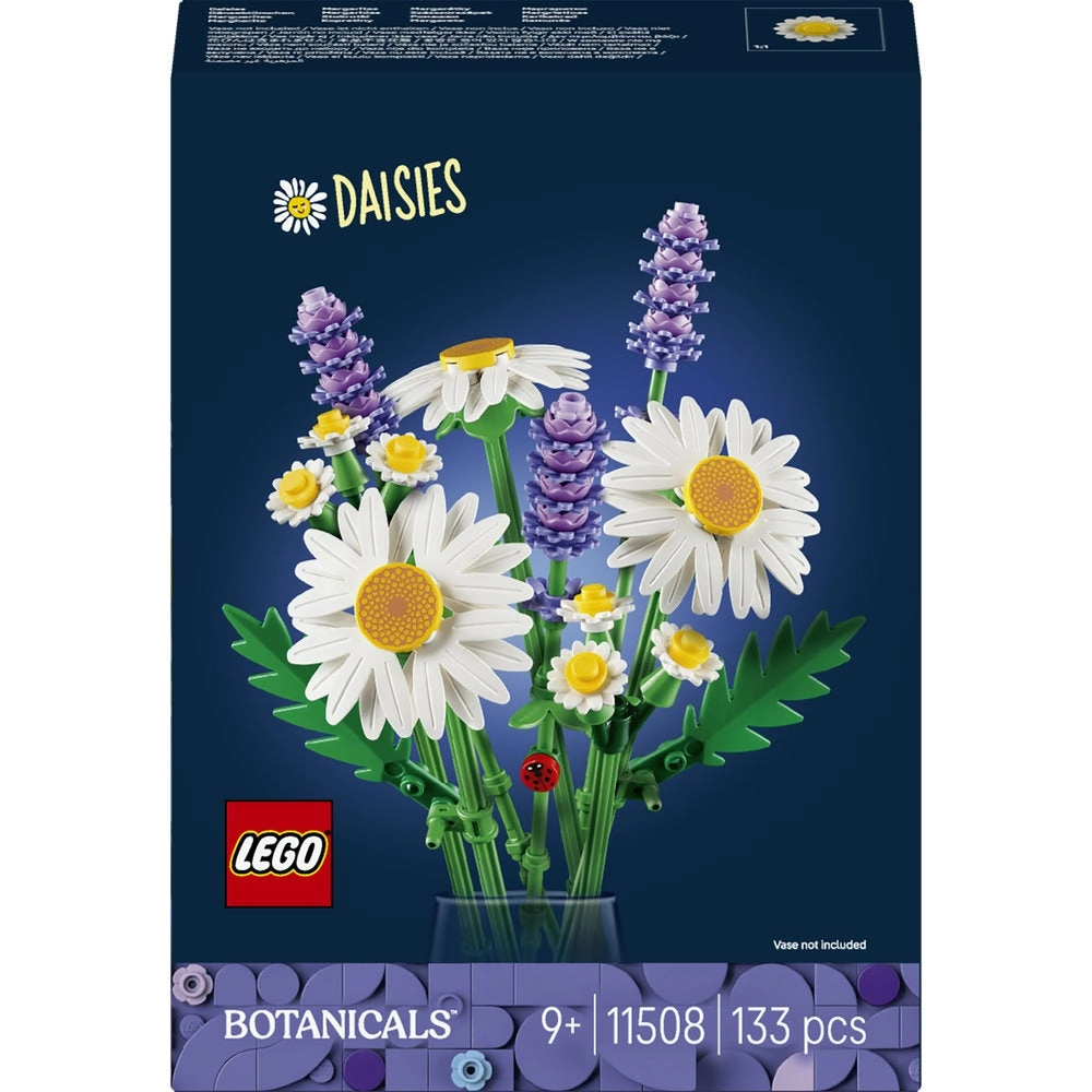 Daisies (11508)