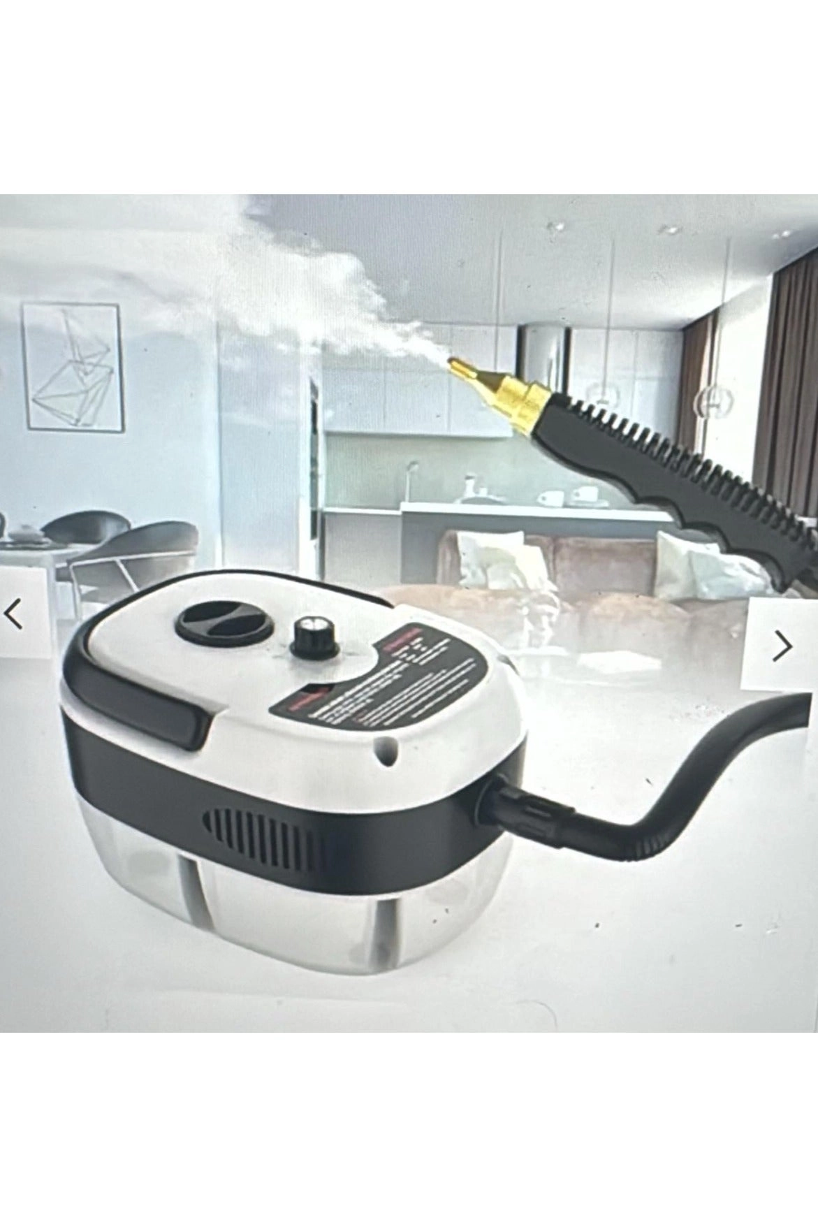Electric Steam Cleaning Machine