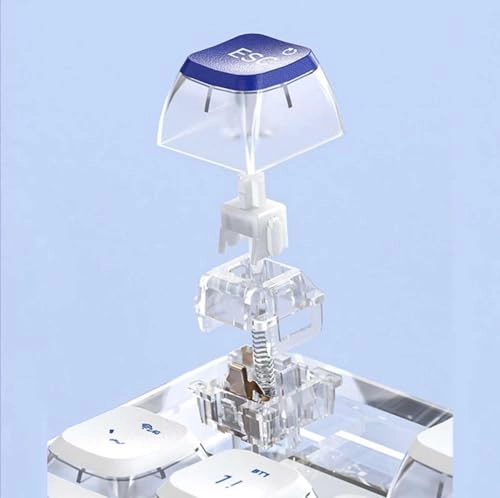 K81 - EN Wired/Wireless