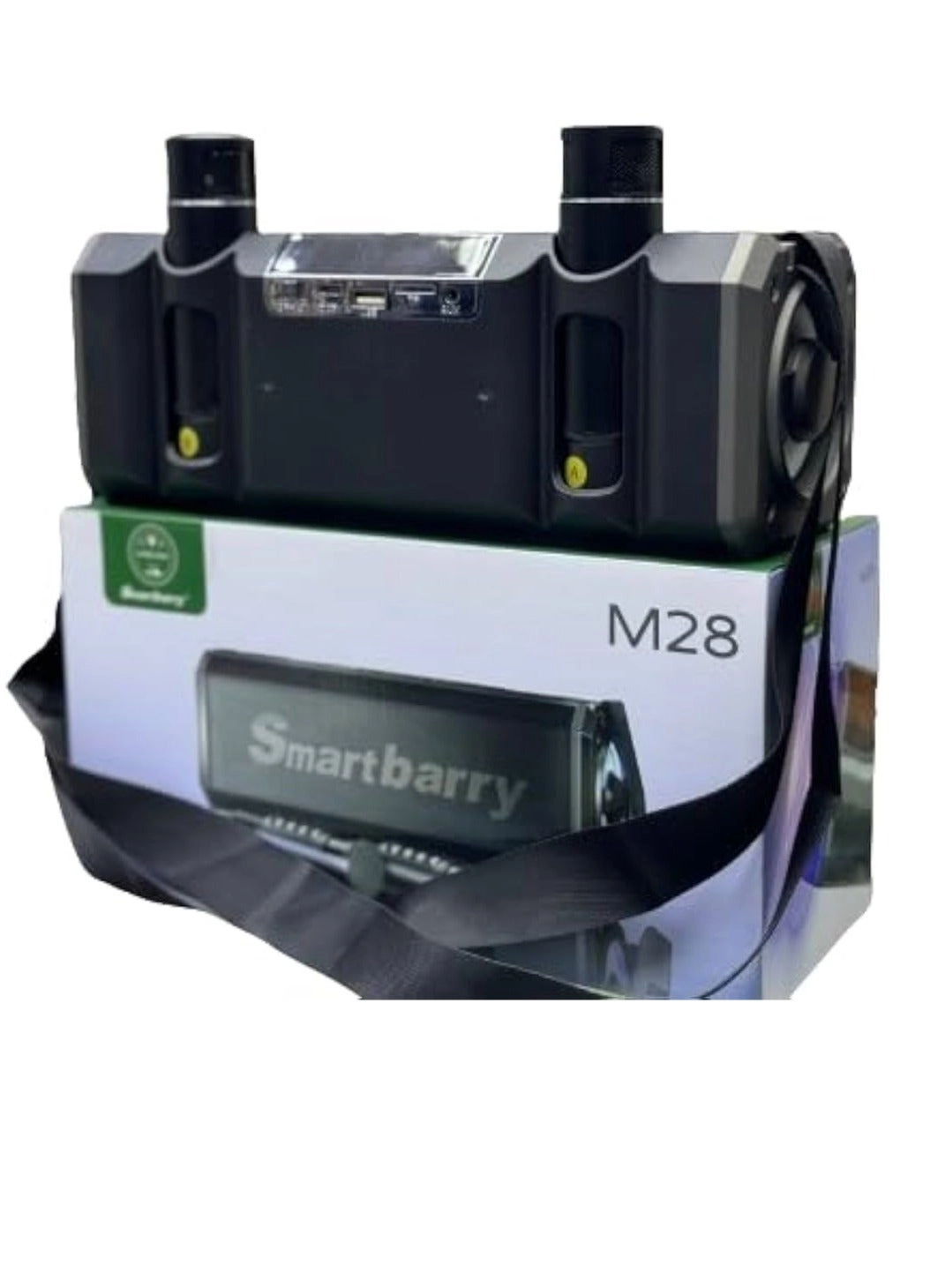 M28 - two Microphones