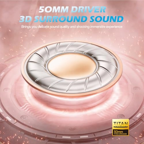 BW01-BT Wireless Headset