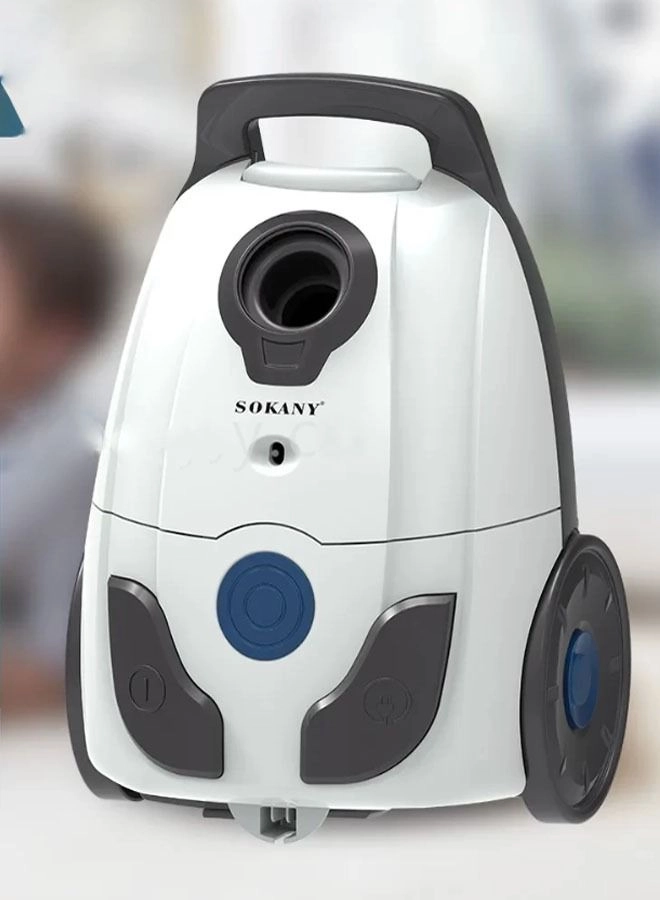 Vacuum Cleaner (SK-3379)