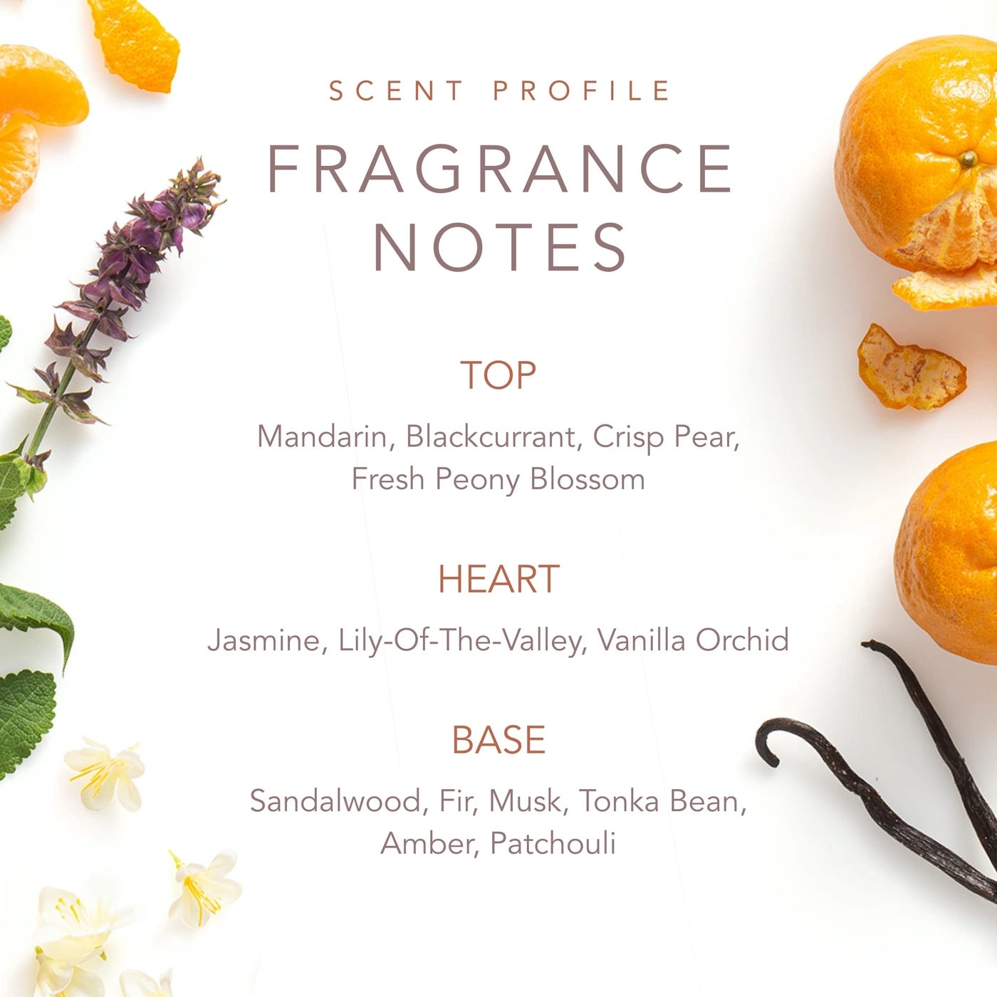 Dolly Parton Scent from Above Eau de Toilette 1.7 Fl Oz