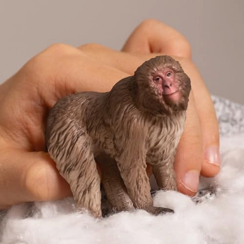 Japanese Macaque - 4+