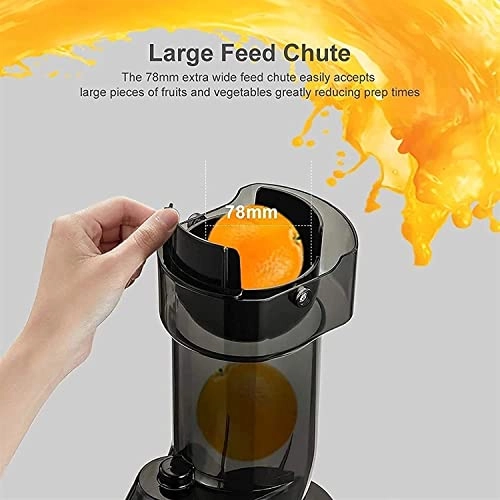 Low Speed Juicer