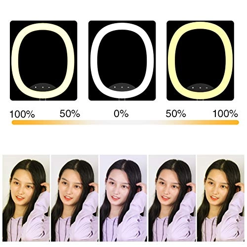 LED Ring Light - 10-inch