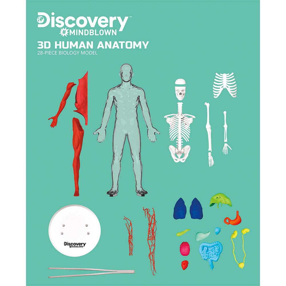Mindblown Human Anatomy - 8 years+ 28 pieces