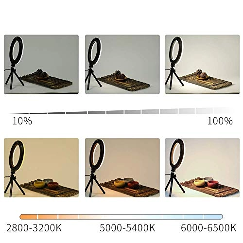 Ring Light LED - 6" Tripod 3 Light Modes