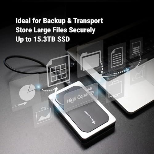 DL4-SSD - 1000 GB