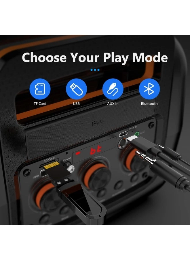 AE-D13 - 2 Microphones