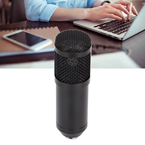 BM800 XLR Microphone