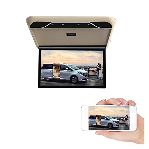 Car Ceiling Display - 19 Inch