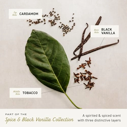 Spice & Black Vanilla Cologne Spray - 3.4 Fl Oz