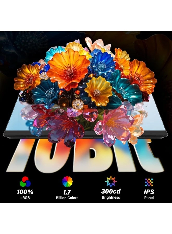 Portable Monitor - 23.8" 2560X1440