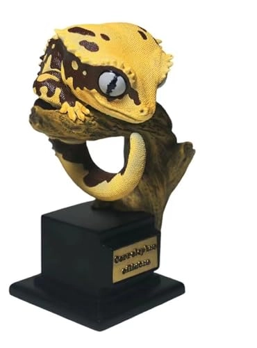 Gecko - Nephrurus Wheeleri Wheeleri (BWZ-SG)