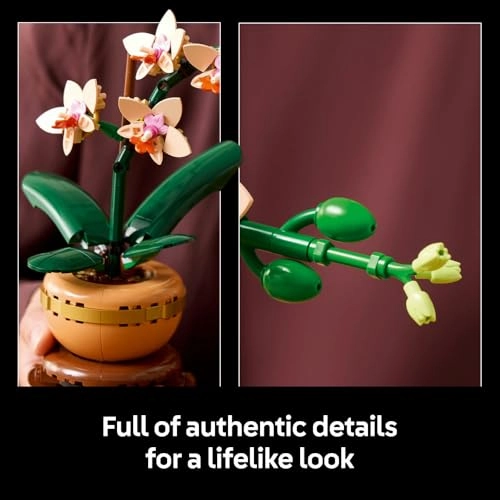 Botanicals Mini Orchid (10343) - Artificial Flowers Terracotta Pot