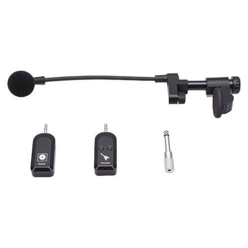 Instrument Microphone System - 1 2.4G Wireless