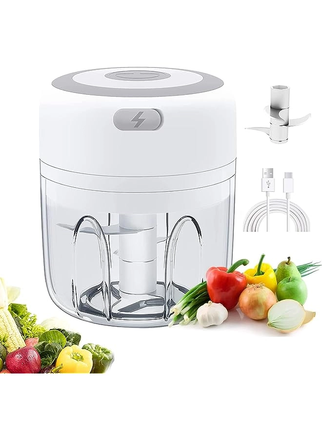 Mini Garlic Chopper - 250ml 30W