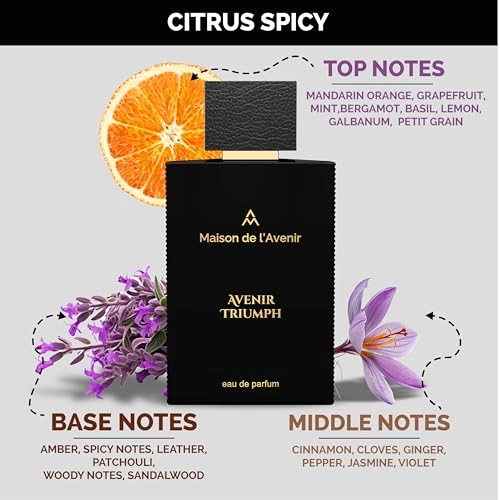 Avenir Triumph Eau de Parfum 100ml