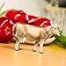 Brown Swiss Cow - 3 yr(s)