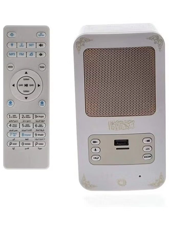 SQ-669 - 8GB Wall Plug