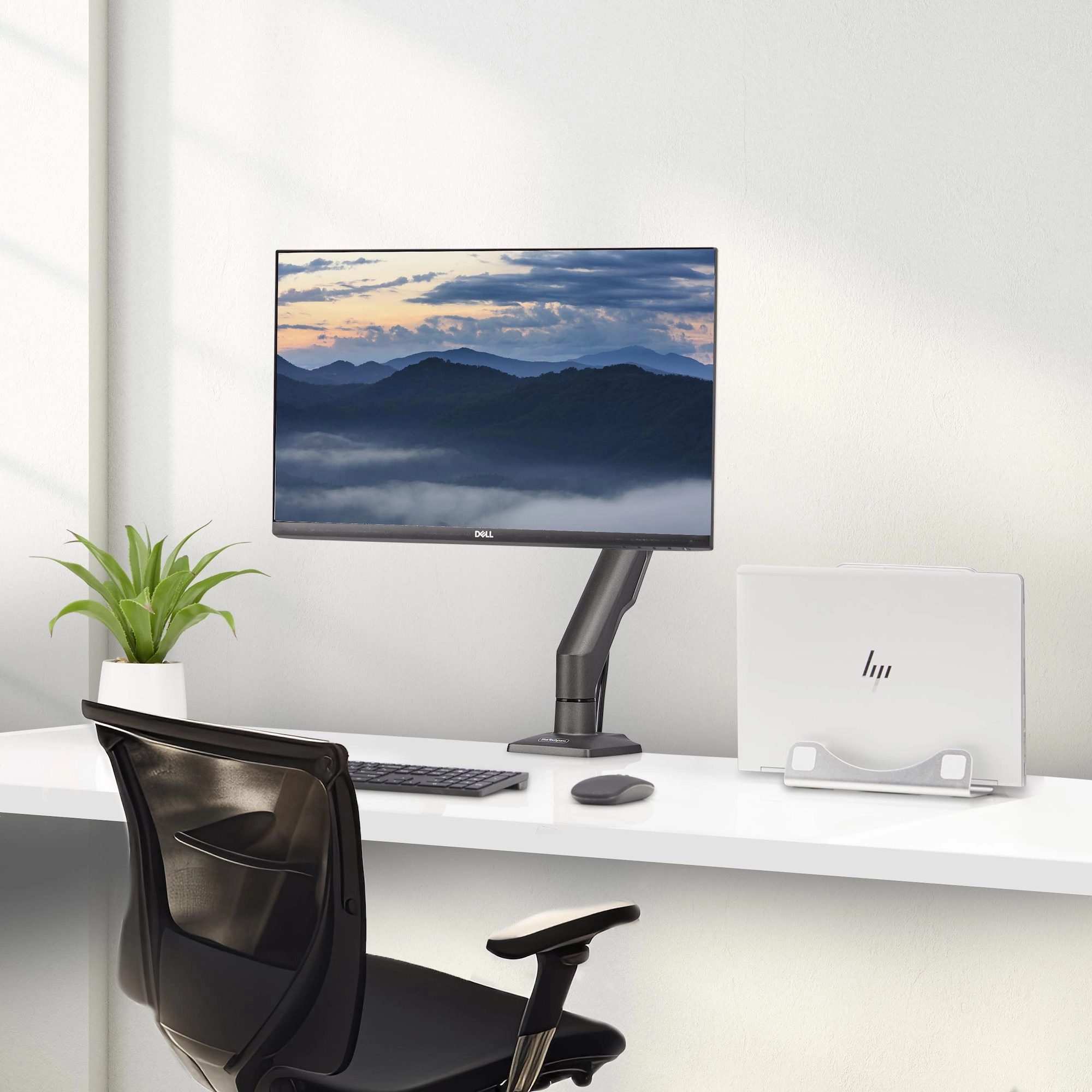 Wall Mount Monitor Arm - 34" 75x75/100x100mm