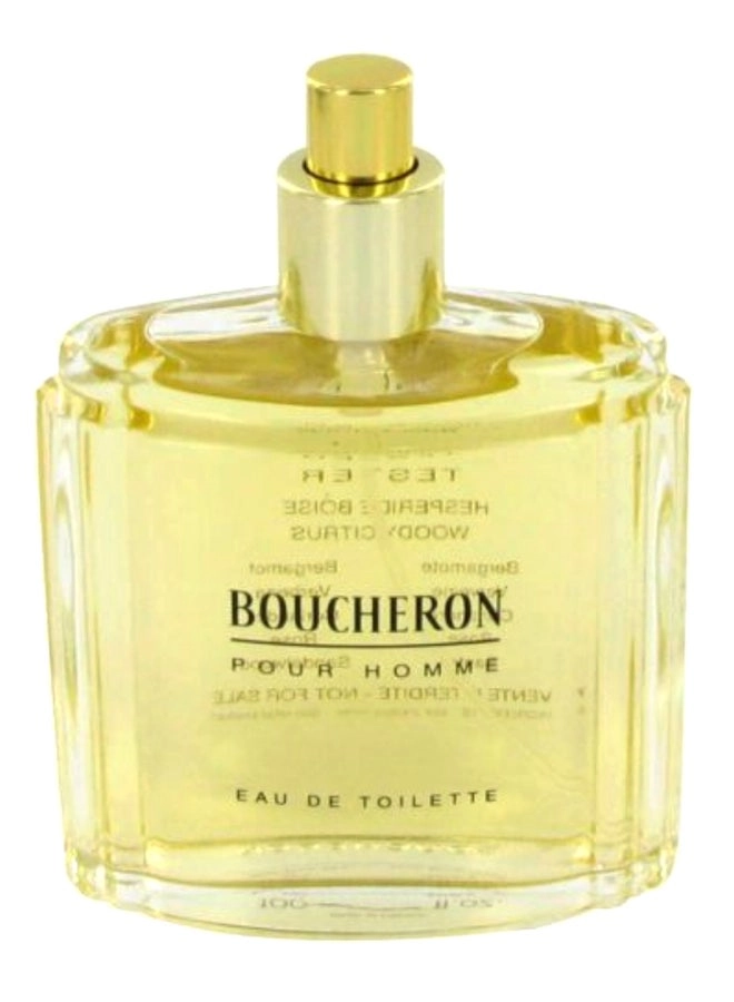Boucheron Pure Homme Eau de Toilette 100 ml