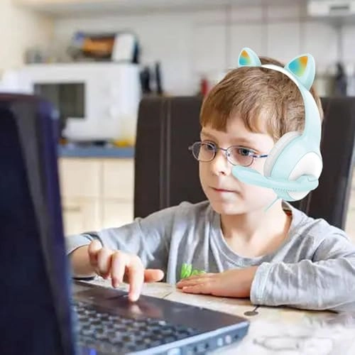 Cat Ear Wired Headphone