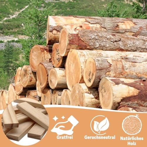 Natural Wood Building Blocks - 100 pcs