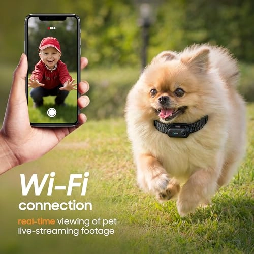 4K Pet Camera Collar