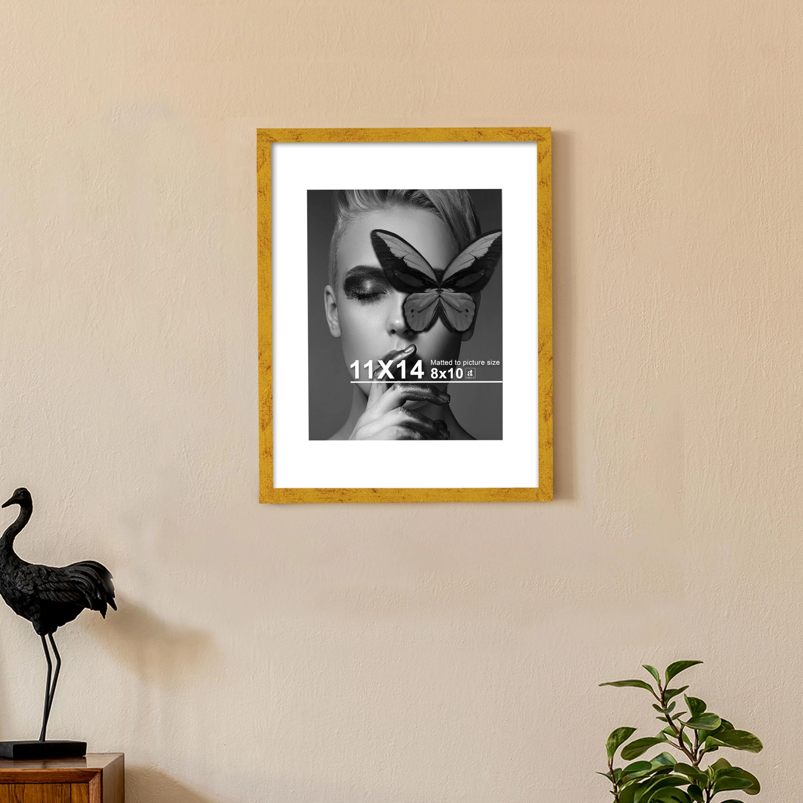 Document Frame - 11x14 Inch